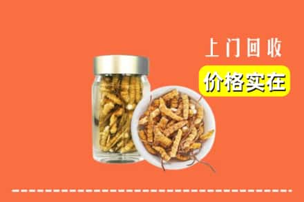 收购资讯:青秀区回收散虫草