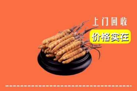 青秀区回收冬虫夏草